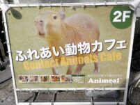 Osaka-©Detlef-Duering-40 Osaka ©Detlef Duering 40