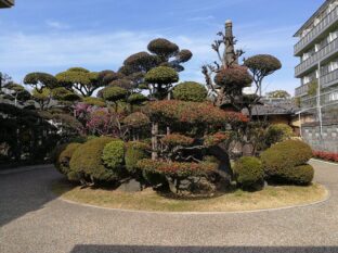 Osaka ©Detlef Duering 86