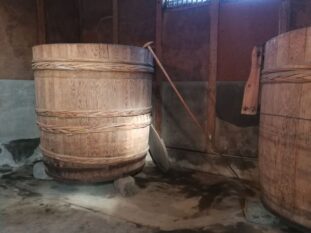 West Japan ©Detlef Duering 035