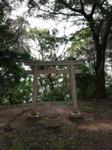 West Japan ©Detlef Duering 048