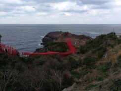 West Japan ©Detlef Duering 057