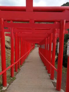 West Japan ©Detlef Duering 072