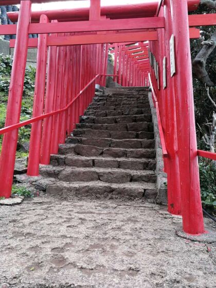 West Japan ©Detlef Duering 073