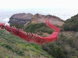 West Japan ©Detlef Duering 079