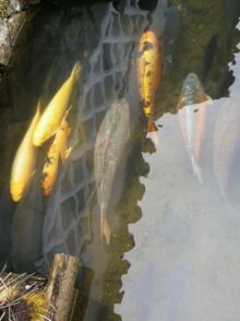 West-Japan-©Detlef-Duering-087 West Japan ©Detlef Duering 087