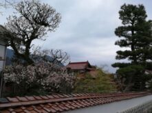 West Japan ©Detlef Duering 099