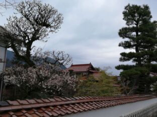 West Japan ©Detlef Duering 099