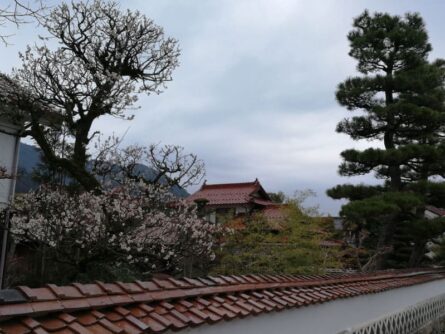 West-Japan-©Detlef-Duering-099 West Japan ©Detlef Duering 099