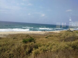 West Japan ©Detlef Duering 106