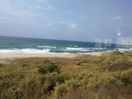 West Japan ©Detlef Duering 106