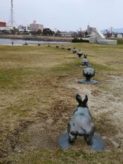 West Japan ©Detlef Duering 122