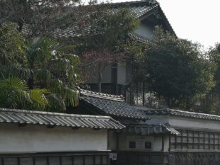 West Japan ©Detlef Duering 146