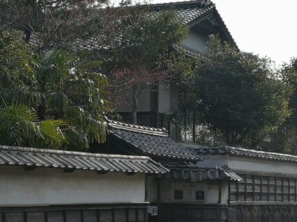 West-Japan-©Detlef-Duering-146 West Japan ©Detlef Duering 146