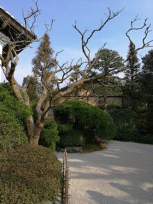 West Japan ©Detlef Duering 151