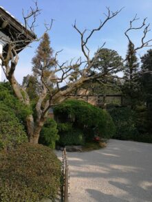 West Japan ©Detlef Duering 151