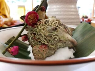 West Japan ©Detlef Duering 171