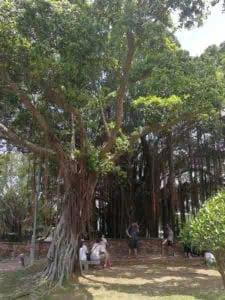 Taiwan © www.1001Reisetraeume.de Detlef Duering 142