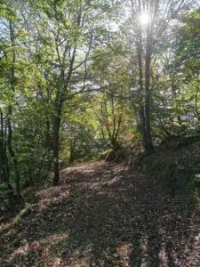 Oberhalb des Liesetals Sauerland ©Detlef Düring 36