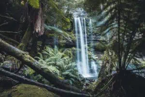 Tasmanien Russel Falls Mount-Field Nationalpark ©Tourism-Tasmania
