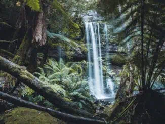 Tasmanien Russel Falls Mount Field Nationalpark ©Tourism Tasmania