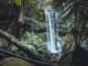 Tasmanien Russel Falls Mount Field Nationalpark ©Tourism Tasmania