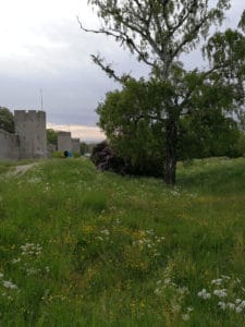 Gotland Visby ©Detlef Duering 04