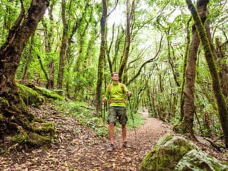 La Gomera Wandern im Nebelwald