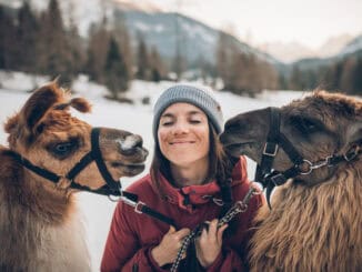 Lamawandern im Winter ©Tiroler Zugspitz Arena Christoph Jorda