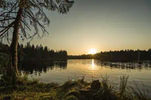 Moorsee Étang de la Gruère Swiss ©Image.ch IvoSchulz