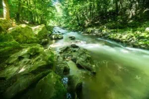 Thüringen Panoramaweg Schwarzatal ©Dominik Ketz