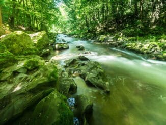 Thüringen Panoramaweg Schwarzatal ©Dominik Ketz