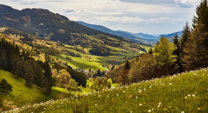 Blick ins Oberprechtal