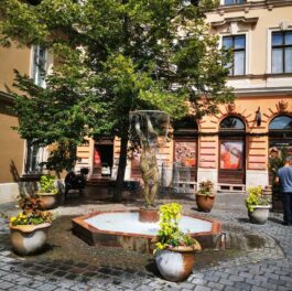 Budapest ©1001Reisetraeume 24