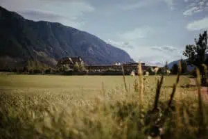 DIE WASNERIN Blick zum Dachstein Tina Reiter
