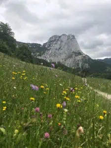 Wanderung im AusseerLand