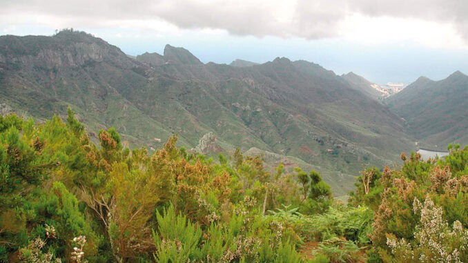 Anaga Tenerife