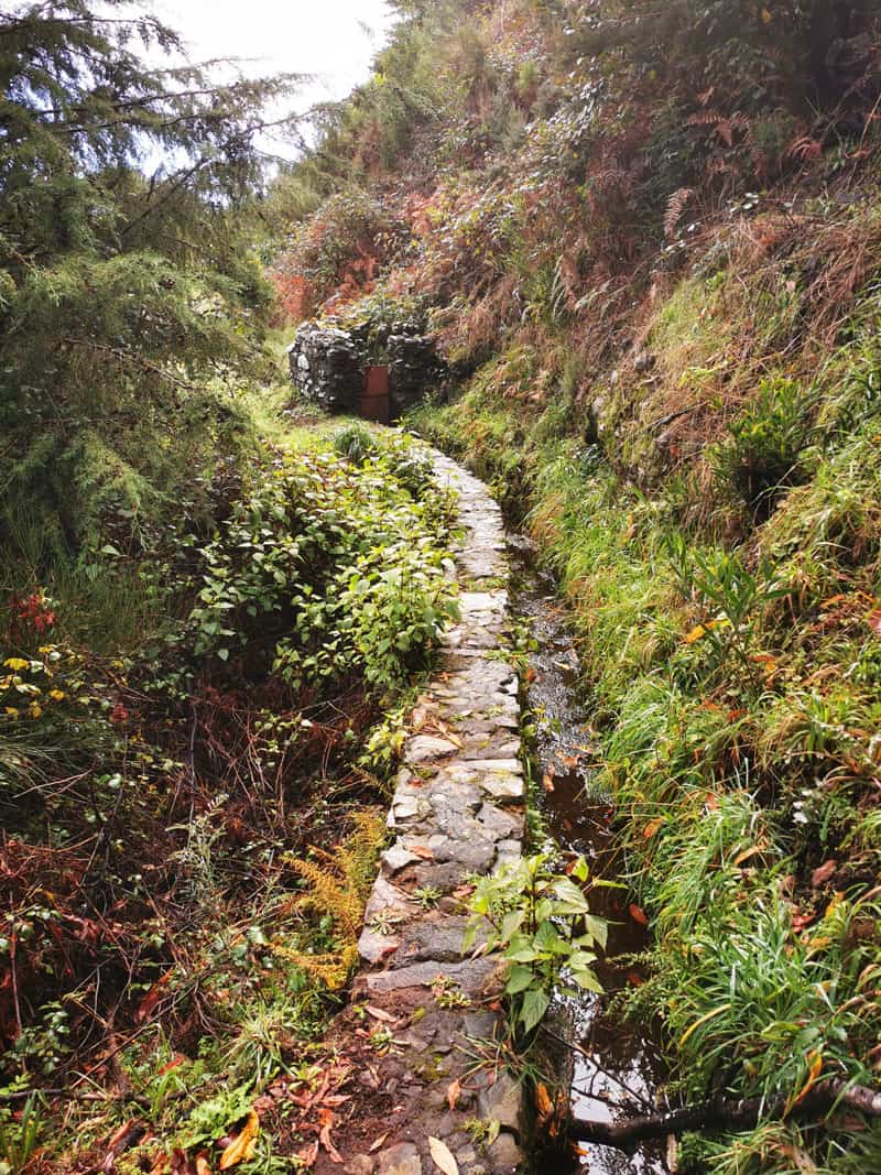 ©Detlef Duering 152