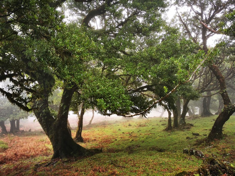 ©Detlef Duering 188