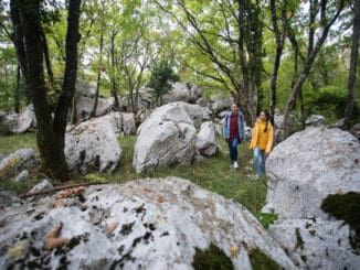 Der slowenische Karst ist ein Geheimtipp ©Visit KrasJost Gantar