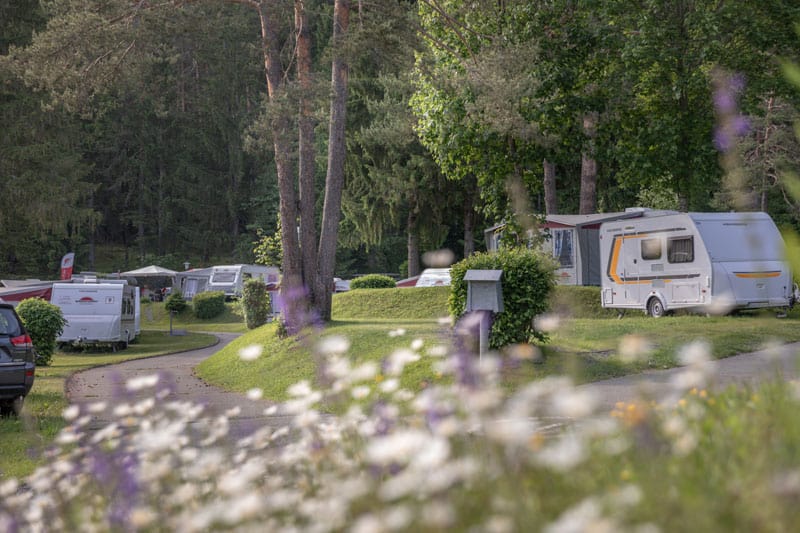 camp boss Big Agnes