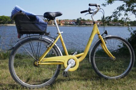Fahrrad das Fortbwegungsmittel Nummer 1 ©Frank Heinzl Insel Albarella Fahrrad das Fortbwegungsmittel Nummer 1 auf der Insel©Frank Heinzl