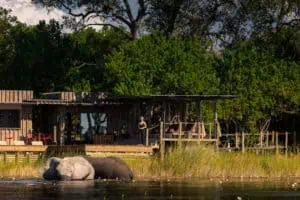 DumaTau WellnessCentre 2 ©Wilderness Safaris Teagan Cunniffe
