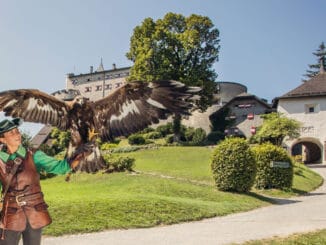 Greifvogelschau auf Burg Hohenwerfen ©SalzburgerLand Tourismus