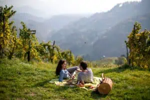 Suedsteiermark Picknick im Weingarten II ©Tourismusverband Suedsteiermark Tom Lamm