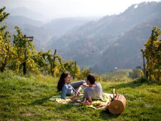 Suedsteiermark Picknick im Weingarten II ©Tourismusverband Suedsteiermark Tom Lamm
