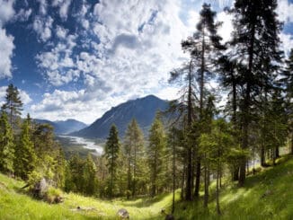 Der Lechzopf in Tirol ©Lechtal Tourismus Robert Eder