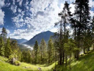 Der Lechzopf in Tirol ©Lechtal Tourismus Robert Eder