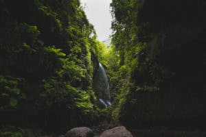 La Palma ©David Monje Unsplash