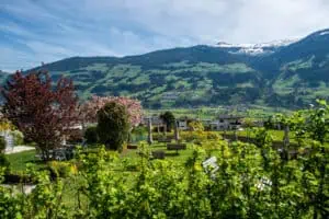Ausblick Garten ©Gartenhotel Crystal