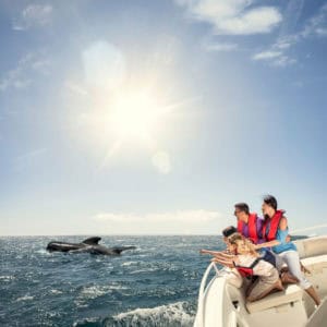 Whale-Watching-vor-Gomera